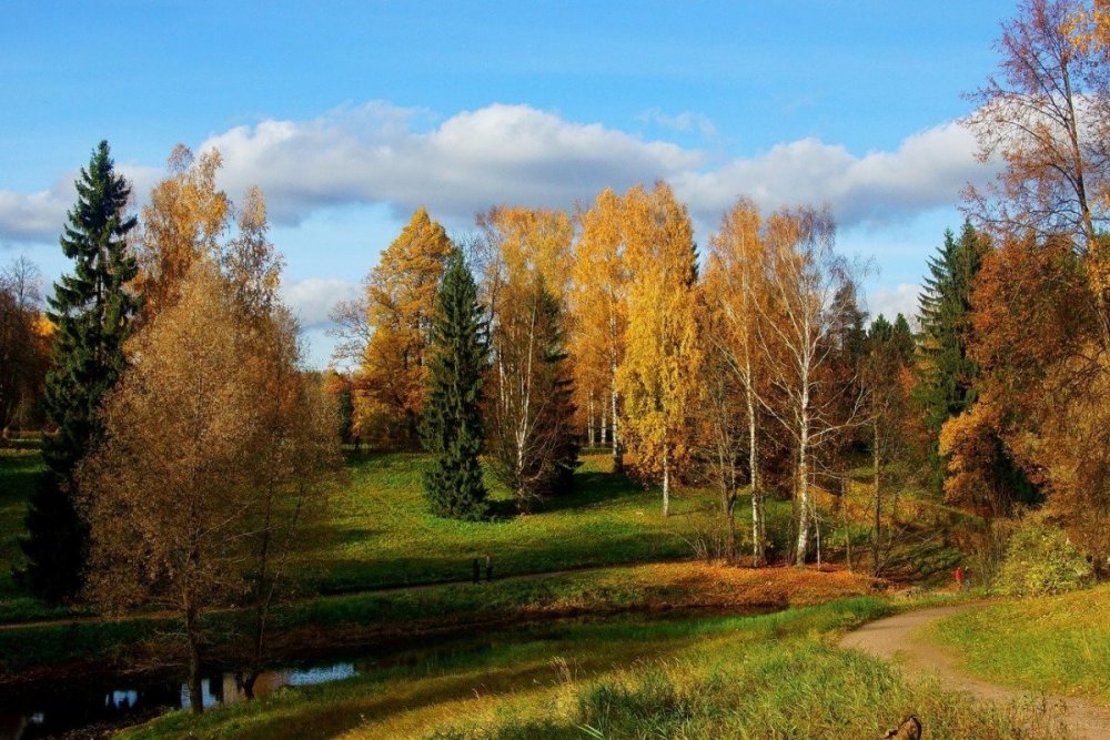 Осень бабье лето