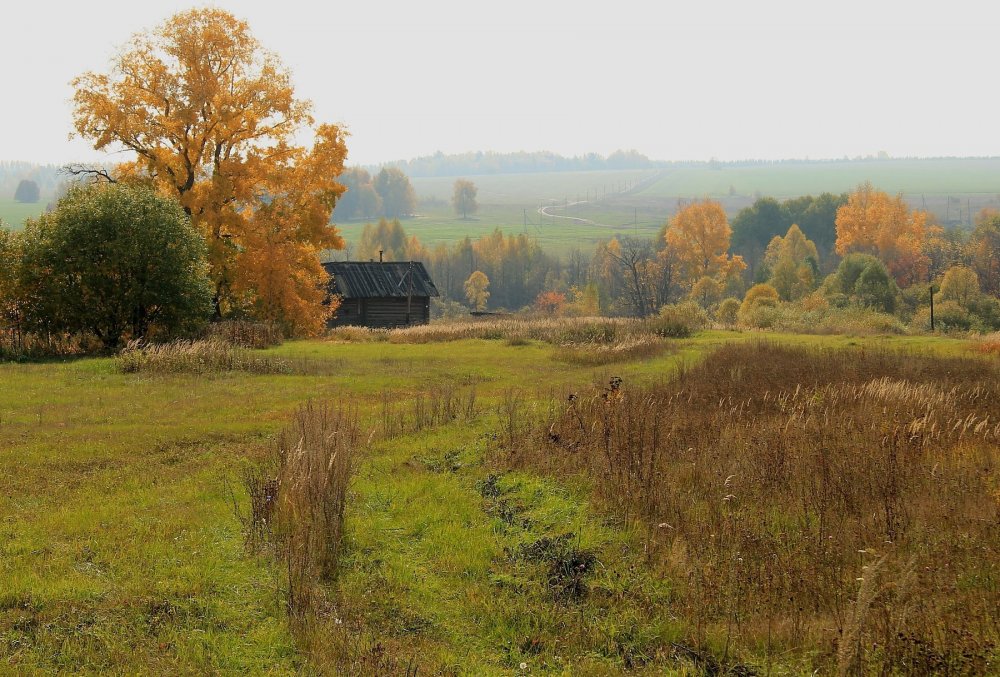 Осенний пейзаж Тульская деревня