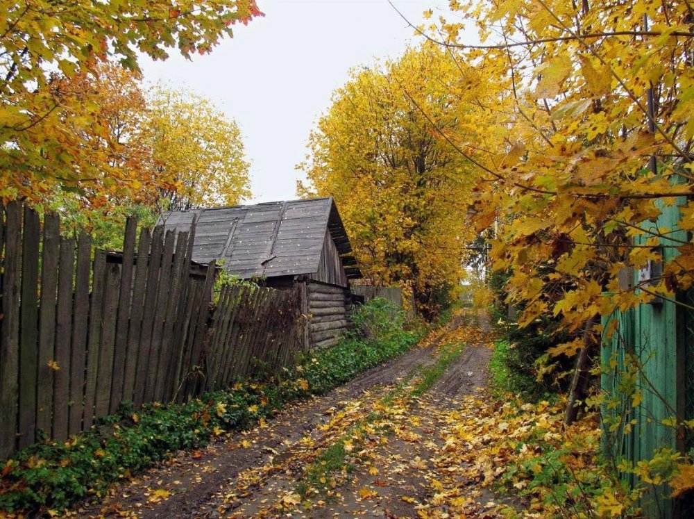 Осень в деревне