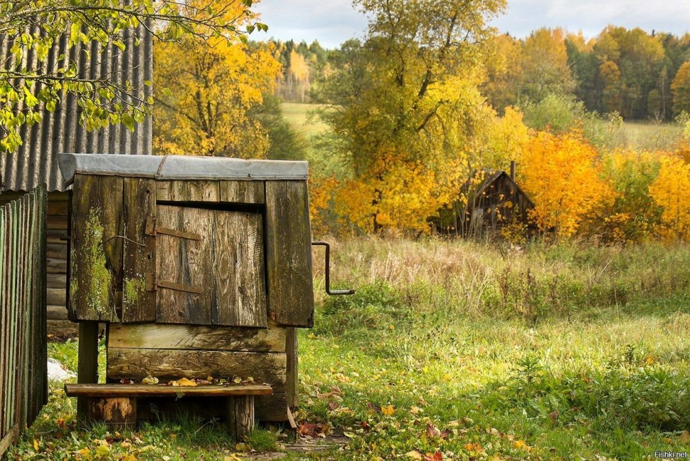 Осень в деревне