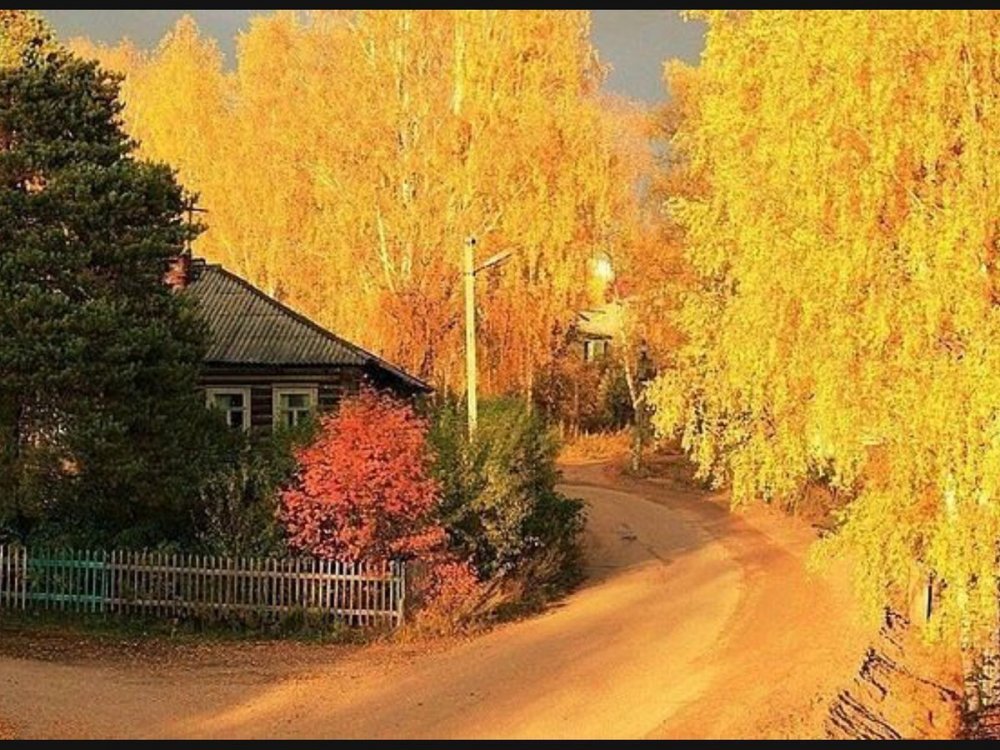 Золотая осень в деревне