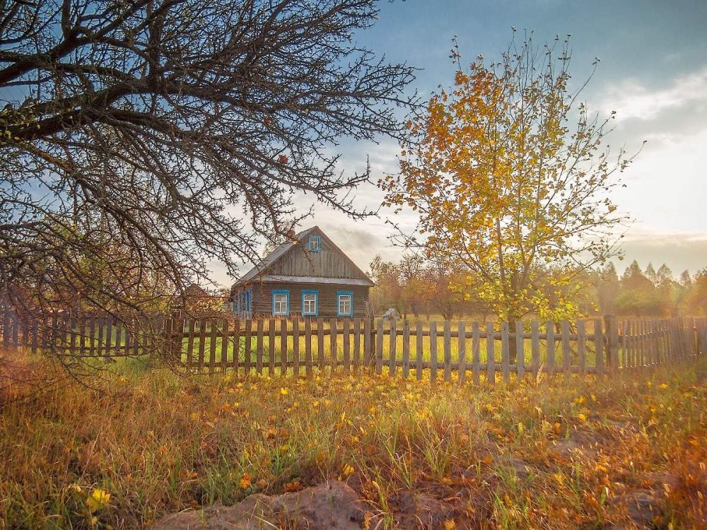 Деревня осенью Беларусь