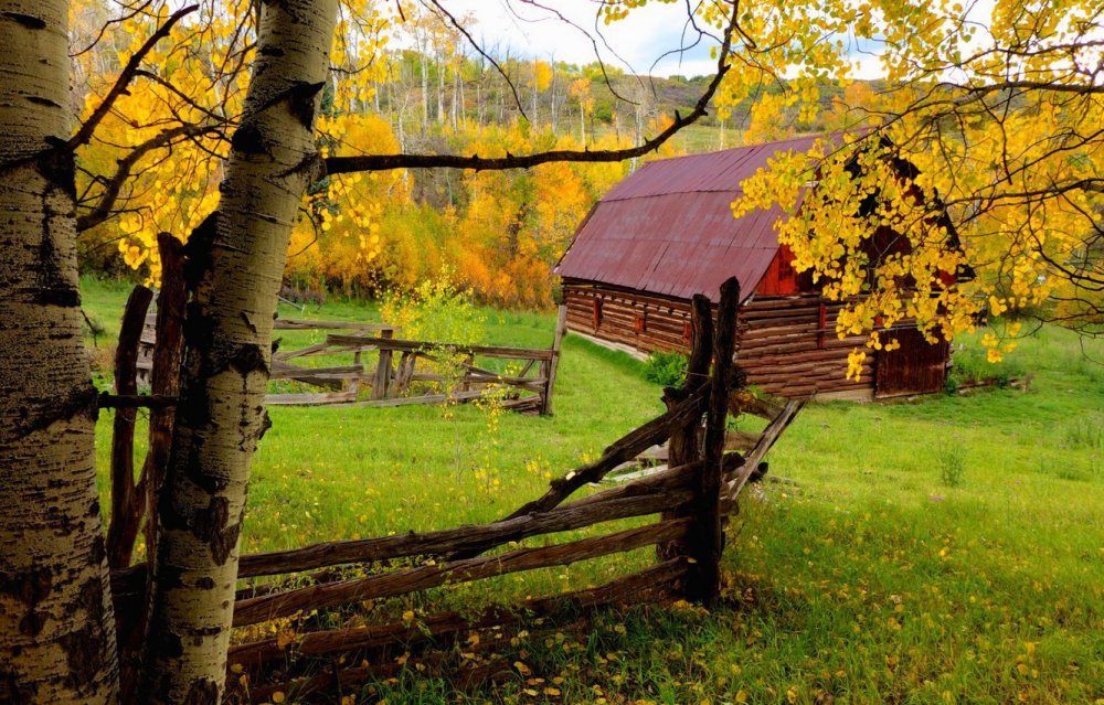 Красивая осень в деревне