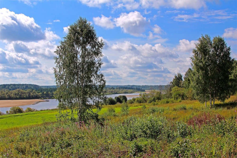 Река Березка Тверская область