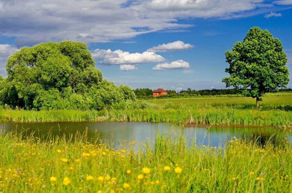 Красота родного края