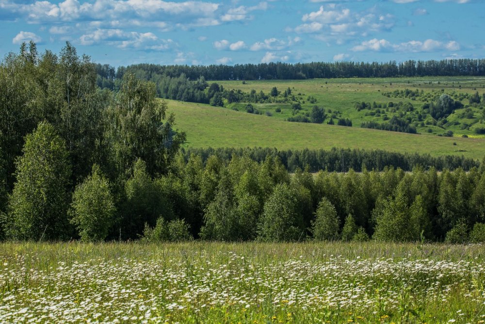 Родные просторы Татарстан