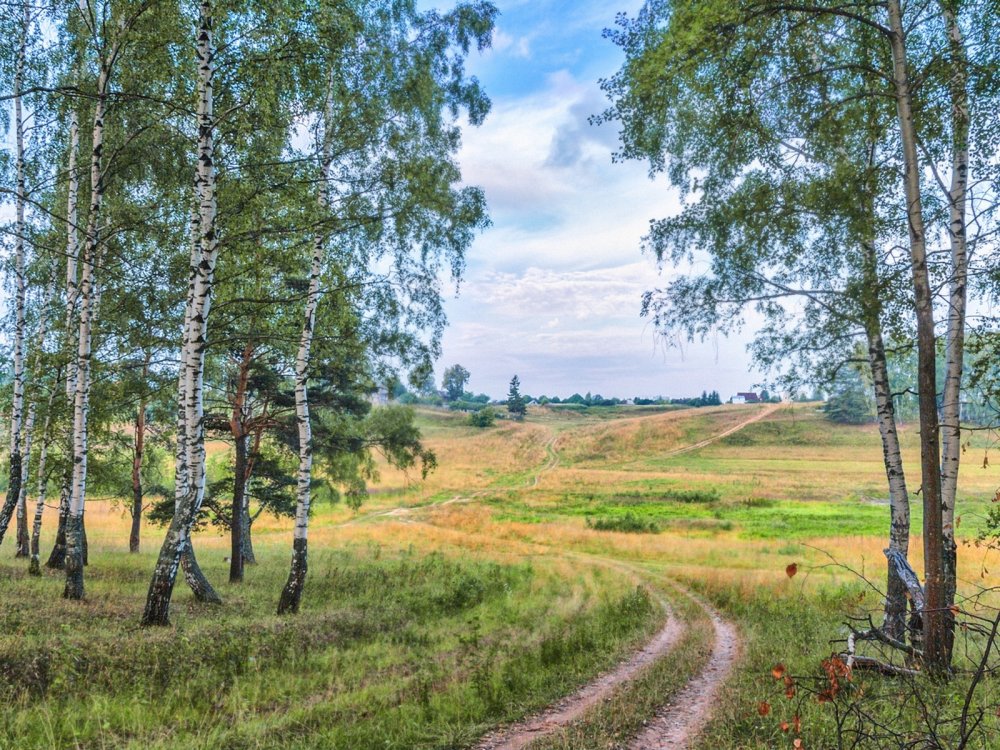 Удмуртия Холмистая равнина