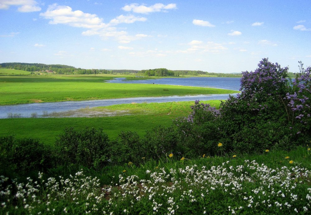 Река Сороть в Михайловском