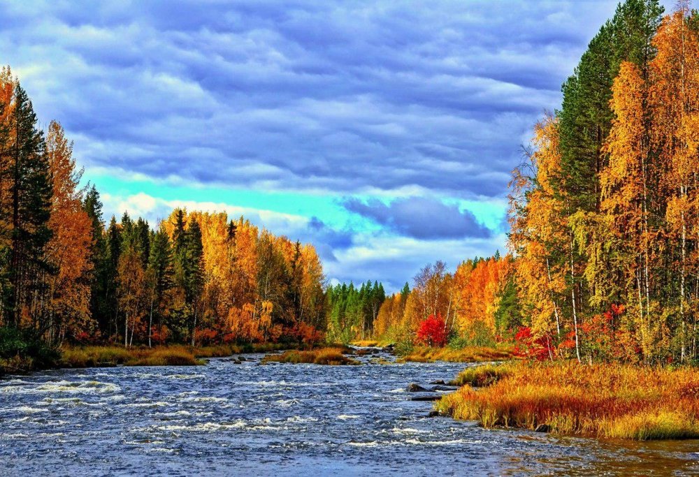 Печора Коми осень