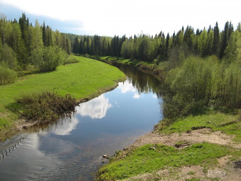 Река Когель Республика Коми