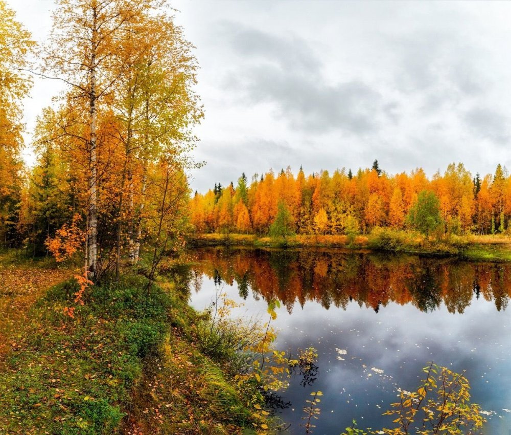 Река Печора осень Республика Коми