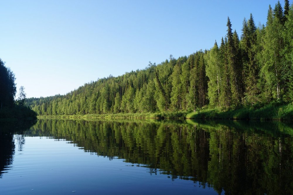 Река Ижма Республика Коми