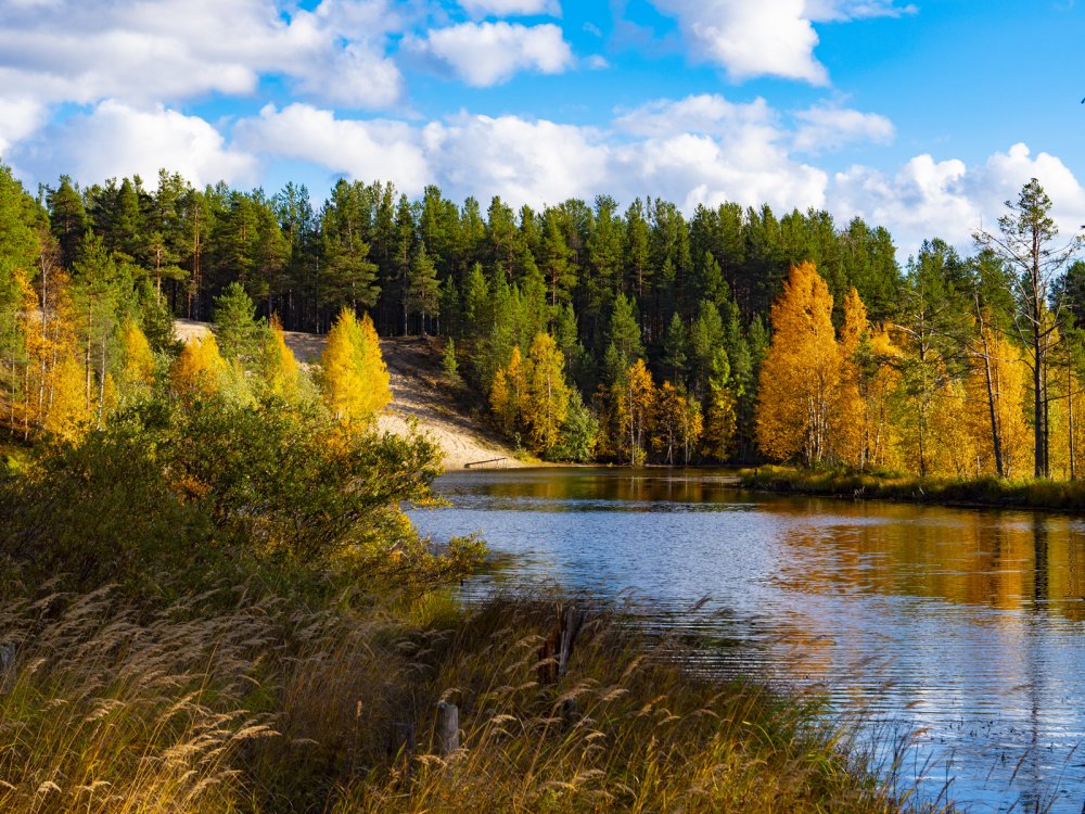 Река Ухта Карелия