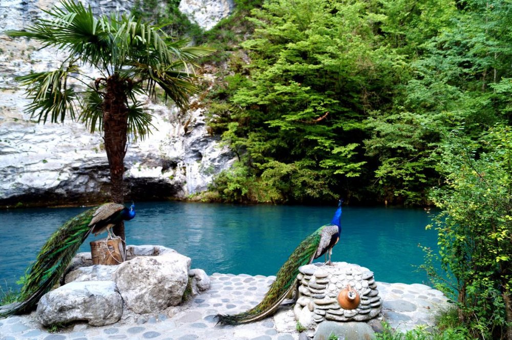 Абхазия природа достопримечательности
