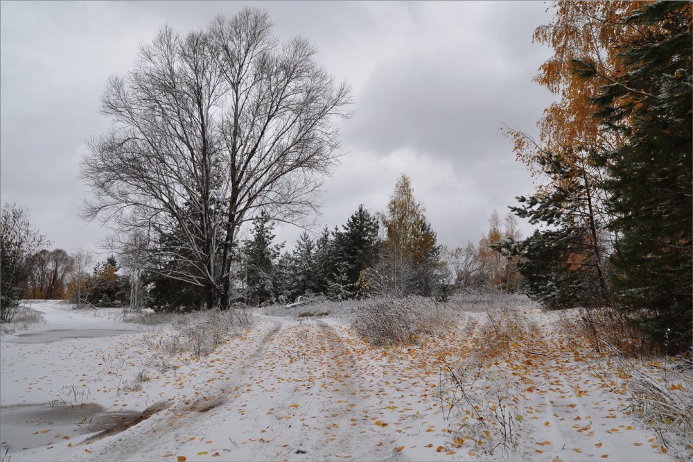 Поздняя осень, предзимье