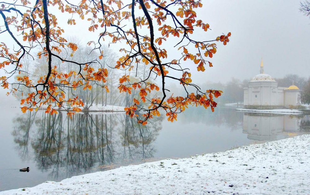 Поздняя осень в городе