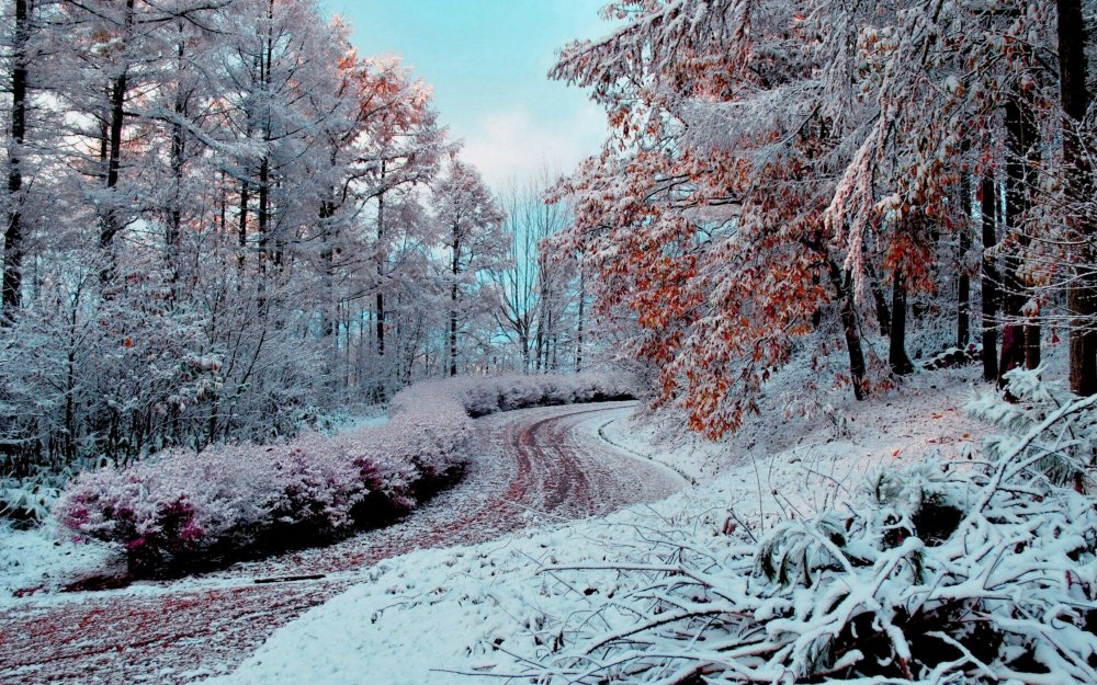 Пейзаж первый снег