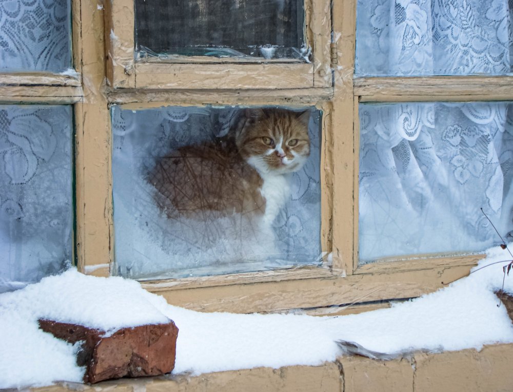 Окно зимой