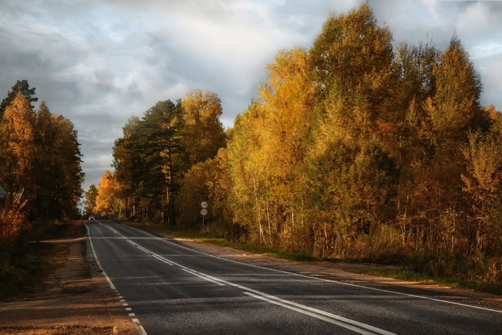 Дорога в осень