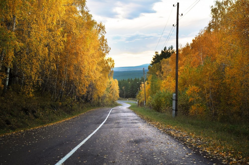 Осенняя дождливая дорога