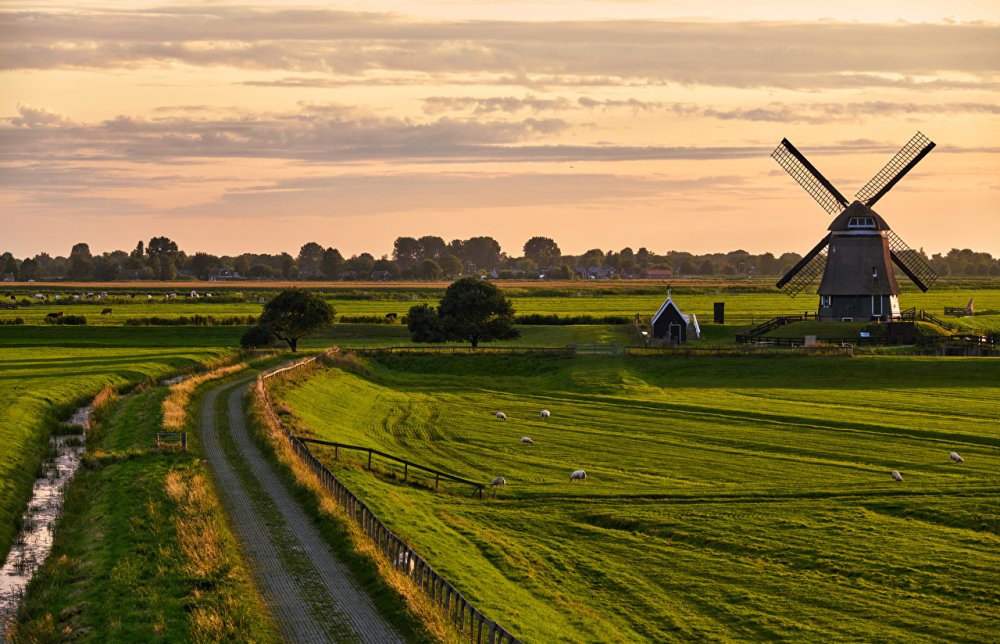 Lisse Netherlands мельница