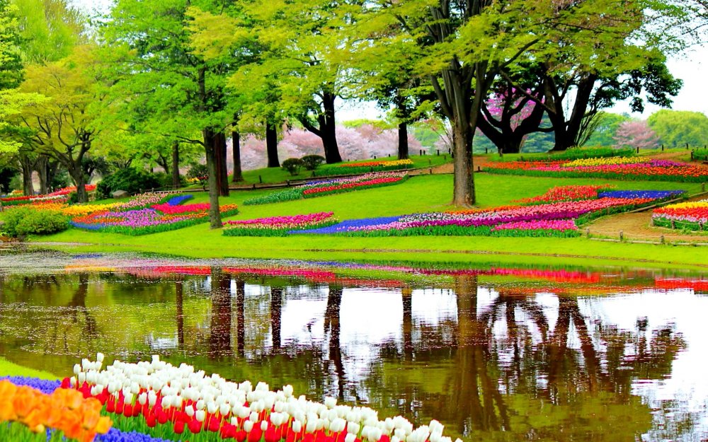 Парк «Кекенхоф» (Keukenhof) летом