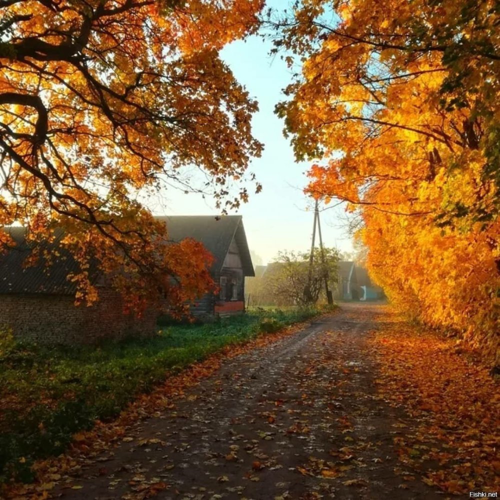 Смоленская деревня осень