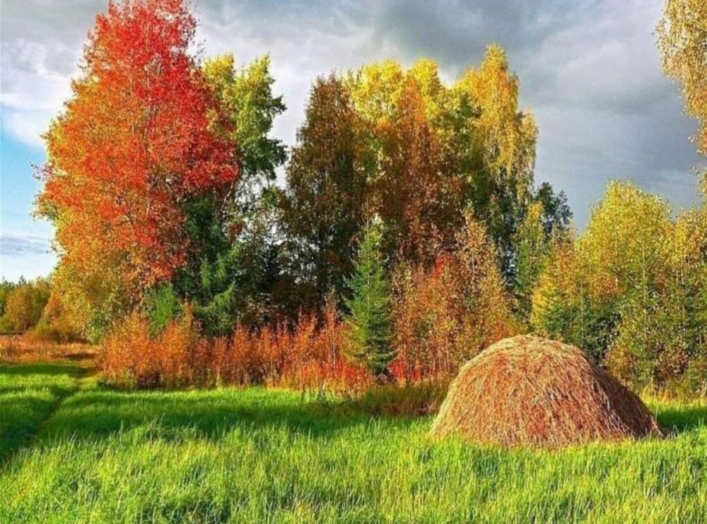 Осенний пейзаж Тульская деревня