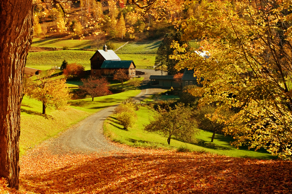 Осень деревня Зенькино