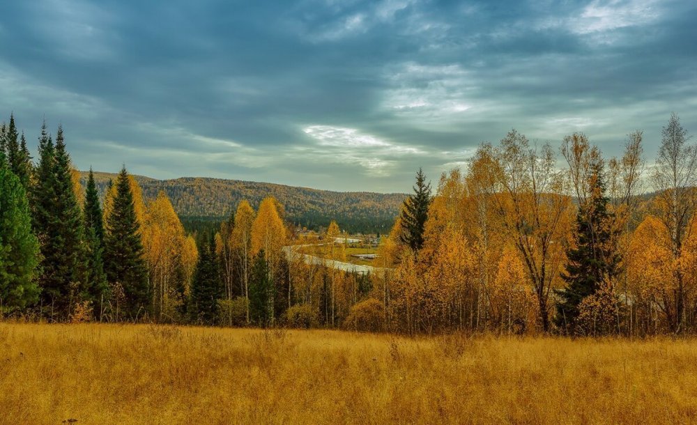 Сибирский лес Сибирская Тайга