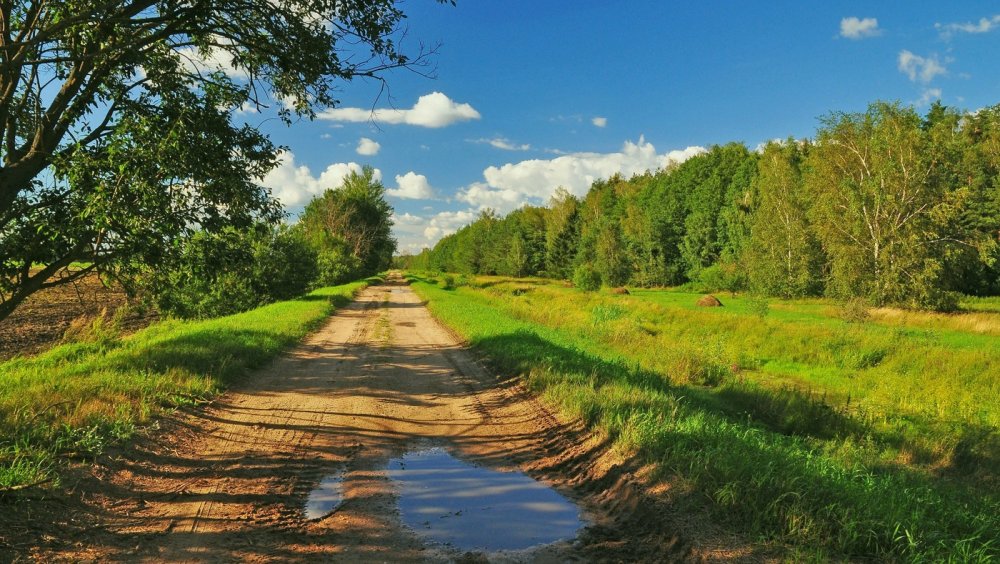 Тропинка в деревне