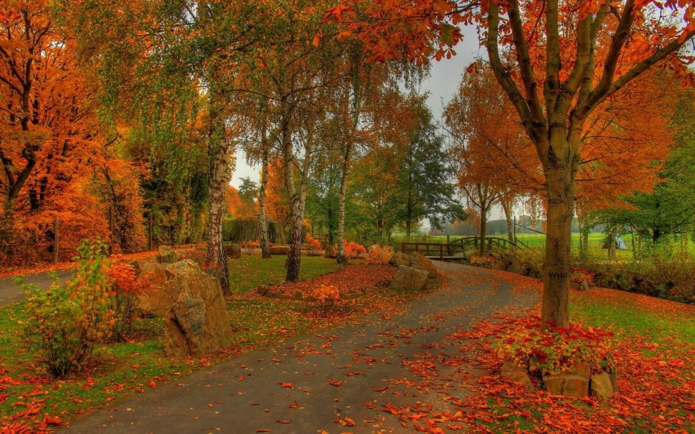 Осенний пейзаж в парке