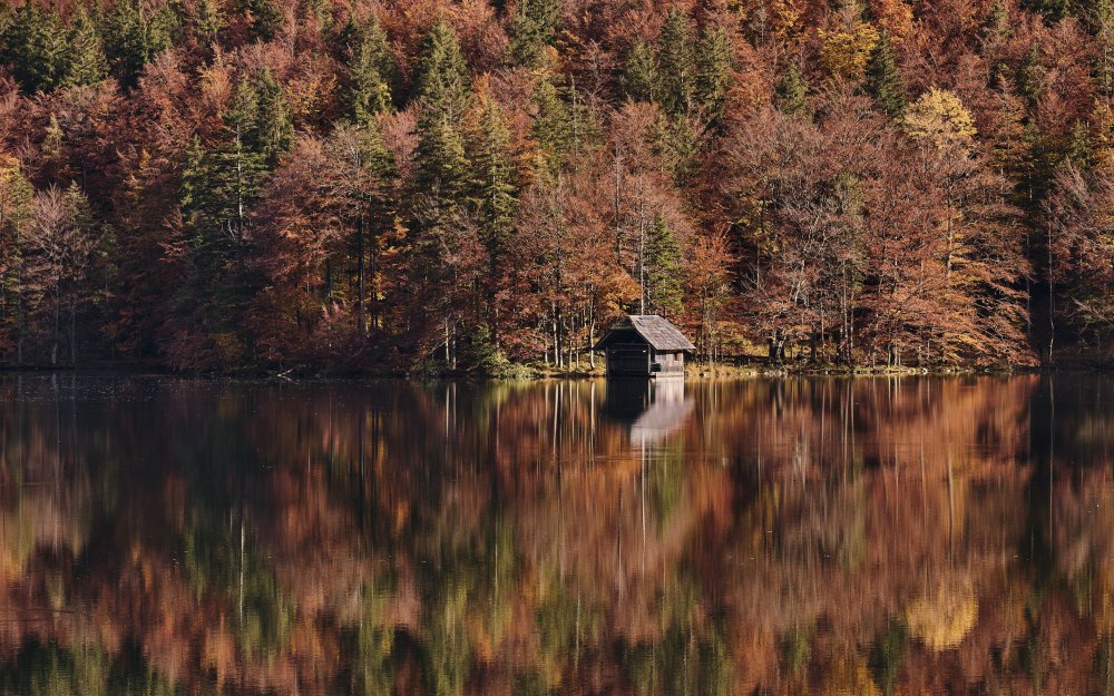 Хижина в осеннем лесу