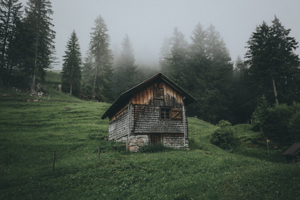 Forest House Хижина в лесу