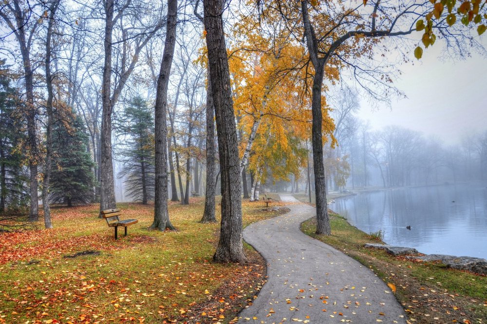 Осень парк лавочка озеро