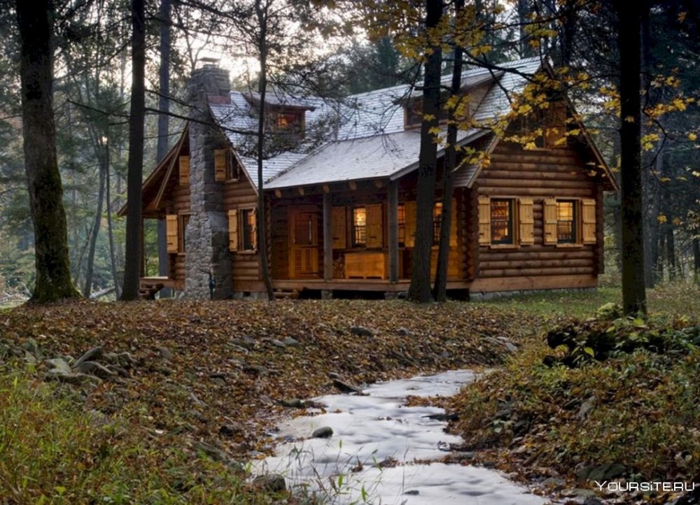 Forest Cabin сруб