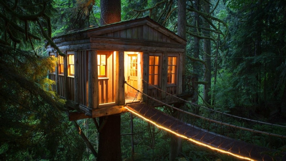 Hobbit Treehouse, США