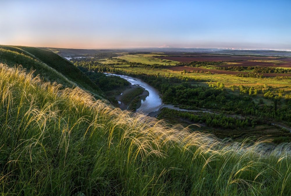 Ковыль Донской край