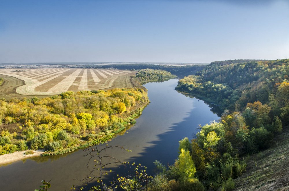 Кривоборье Воронежская