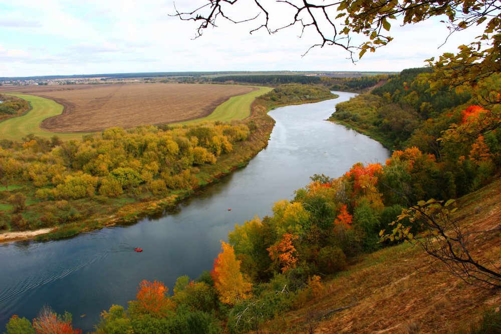 Река Дон, Кривоборье, Воронежская область