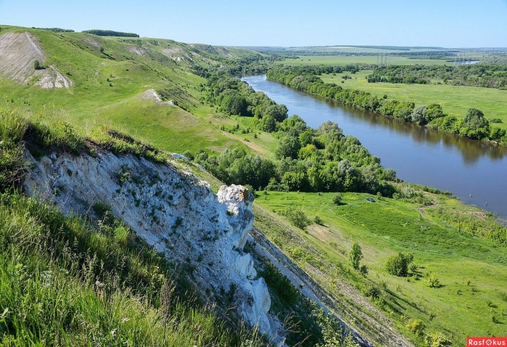 Реки Воронежского Дон