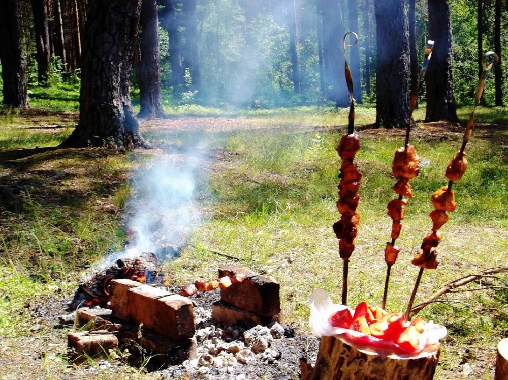 Жулебинский лесопарк шашлык