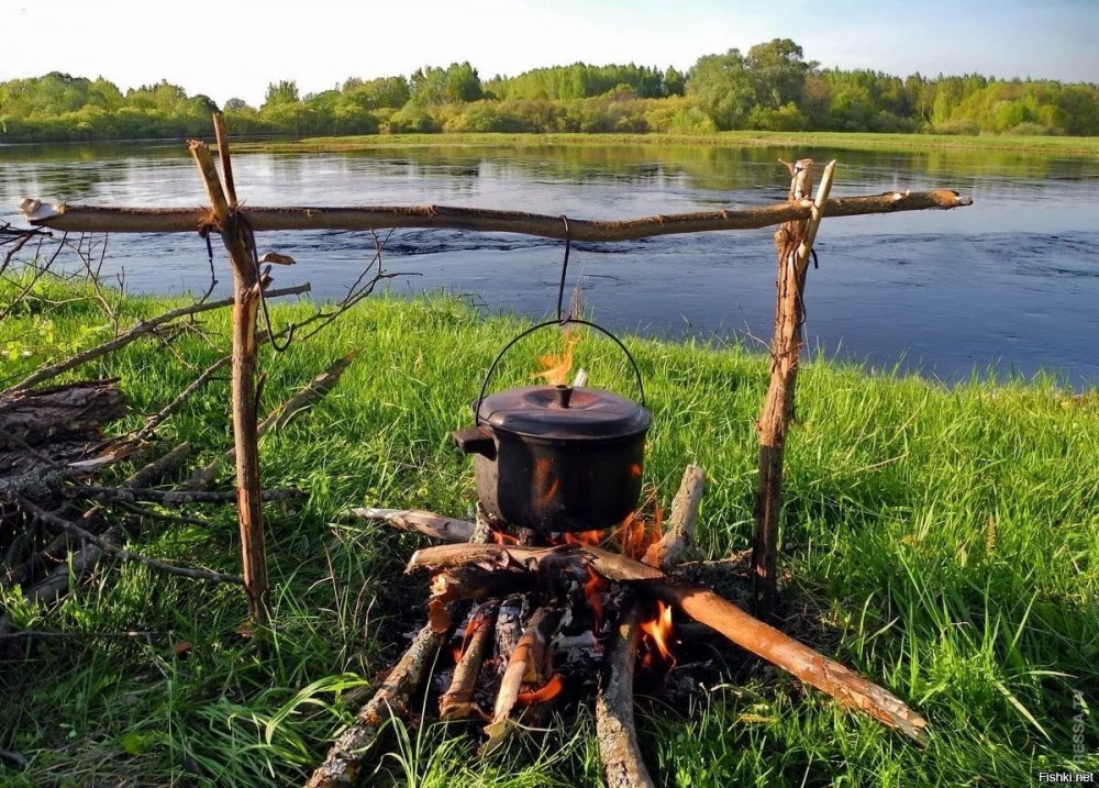 Рыбалка в лесу