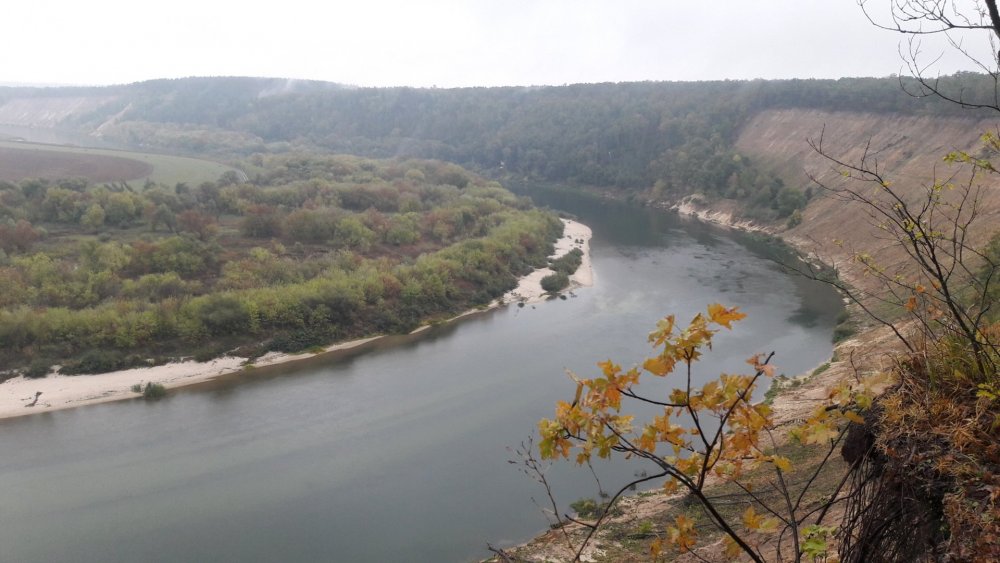 Рыбалка в Кривоборье на Дону