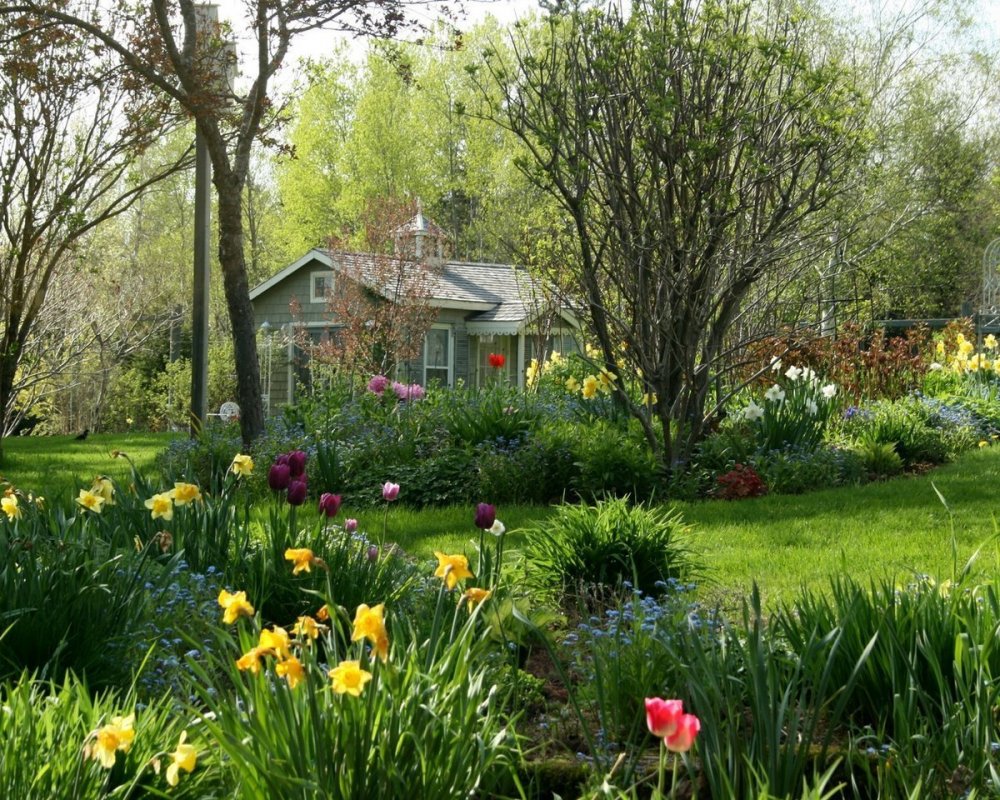 Весенний сад (Spring Topiary Garden)