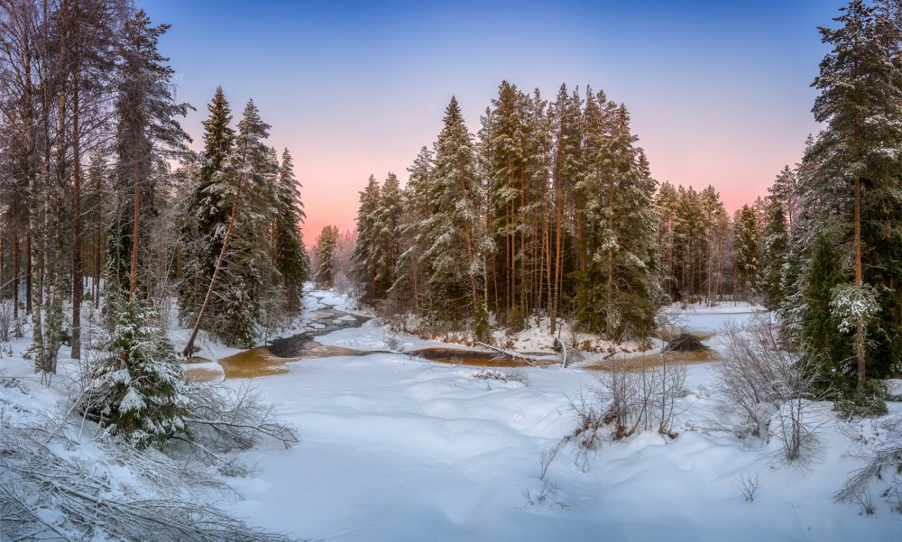 Зимний лес с рекой