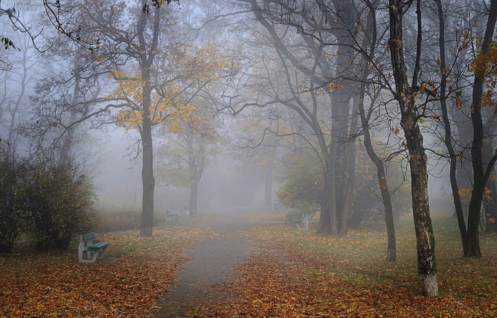 Пасмурная осень