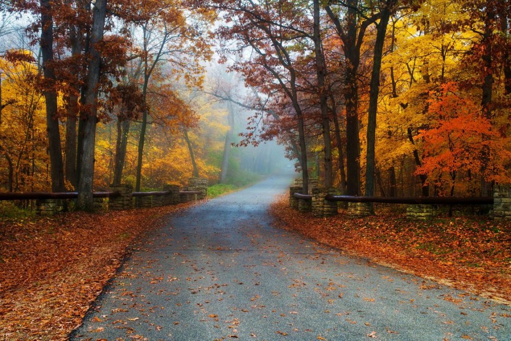 Осенний пейзаж парк