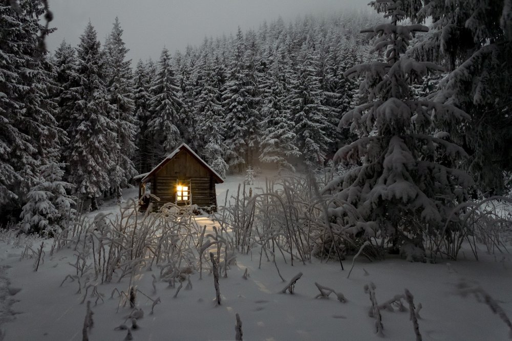 Дом в лесу зима