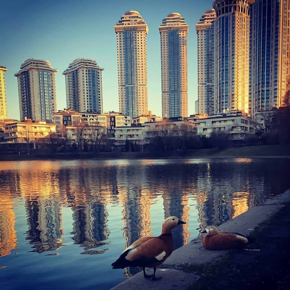 Долина реки Сетунь